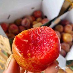 南菠萬全球果品批發(fā)中心亭趾店