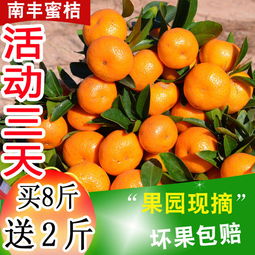 應(yīng)季橘子水果批發(fā)新鮮桔子水果皮薄小紅蜜橘子非沙糖桔金桔丑八怪