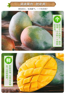 四川攀枝花凱特芒果 新鮮水果批發(fā)包郵整箱青芒