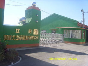 南寧市海吉星水果批發(fā)市場有蟲草花批發(fā)嗎 多少錢一