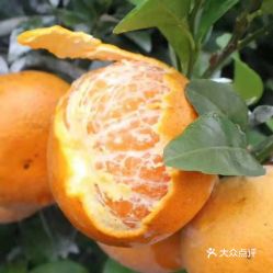 電話,地址,價(jià)格,營(yíng)業(yè)時(shí)間