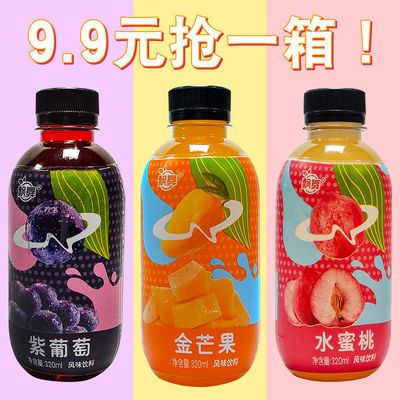 飄舞飲料果汁整箱批發(fā)特價(jià)夏季解渴果味飲品芒果汁水
