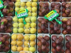 田園情果品批發(fā)行