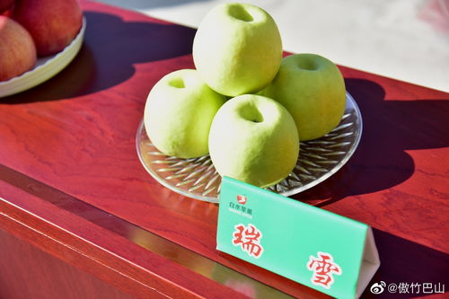 丹桂飄香 碩果累累 陜西蘋果走向世界