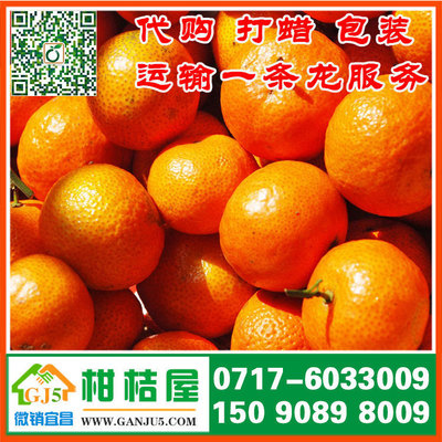 【堤口果品晚熟柑橘水果供應 濟南市堤口果品晚熟柑橘銷售產(chǎn)地批發(fā)價格】堤口果品晚熟柑橘水果供應 濟南市堤口果品晚熟柑橘銷售產(chǎn)地批發(fā)價格批發(fā)價格,廠家,圖片,湖北宜昌柑桔屋專業(yè)合作社 -