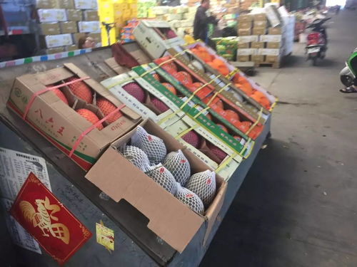 探 城│沈陽八家子 實(shí)拍東北最大的果品批發(fā)市場
