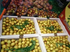 綠色果品超級批發(fā)行(昌明街店)-圖片-shaoxing購物-大眾點(diǎn)評網(wǎng)