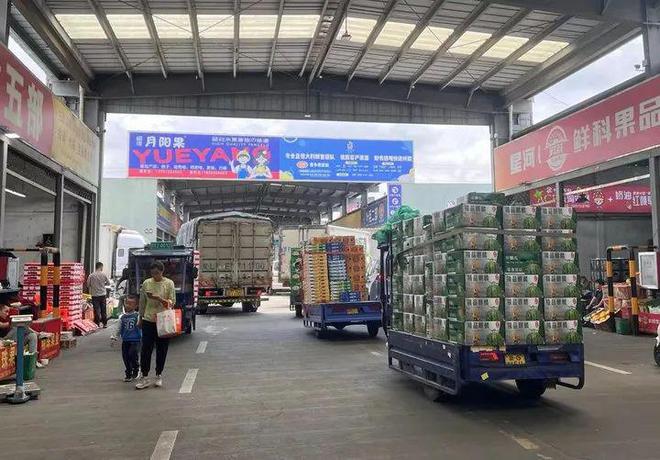 價格大跳水?批發(fā)價已逼近1元/斤,正大量上市