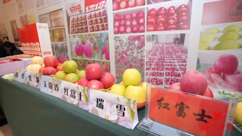 咸陽馬欄紅 蘋果亮相武漢
