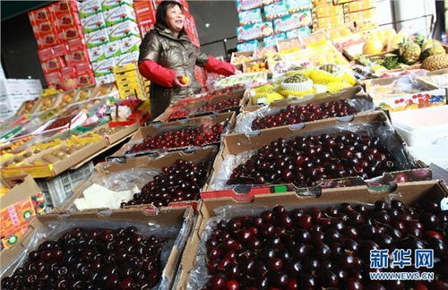 代理巴基斯坦水果報(bào)關(guān)行 上海進(jìn)口乳制品報(bào)關(guān)代理公司 上海乳制品進(jìn)口報(bào)關(guān)公司,乳制品進(jìn)口報(bào)關(guān)