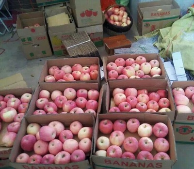 陜西省眉縣果品專業(yè)批發(fā)市場