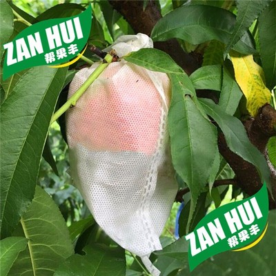 薊縣工廠批發(fā)防裂果防蟲防果銹防病害透氣透光無紡布桃子專用套袋圖片_高清圖_細(xì)節(jié)圖-生態(tài)膜果品套袋 -