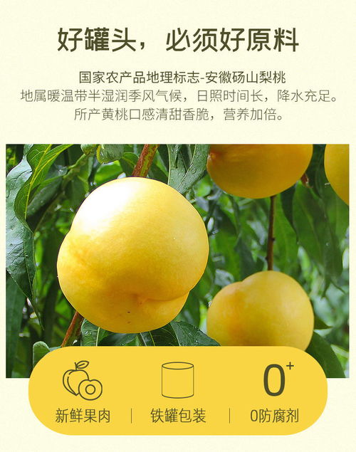 黃桃罐頭整箱12罐裝 425g安徽碭山特產(chǎn)新鮮水果糖水2罐頭批發(fā)包郵