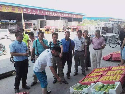 崖州區(qū)水南村將建350畝果蔬批發(fā)交易市場-財(cái)經(jīng)頻道-手機(jī)