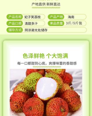 海南妃子笑荔枝新鮮現(xiàn)摘批發(fā)3斤裝早熟水果果園整箱鮮果現(xiàn)發(fā)嶺南