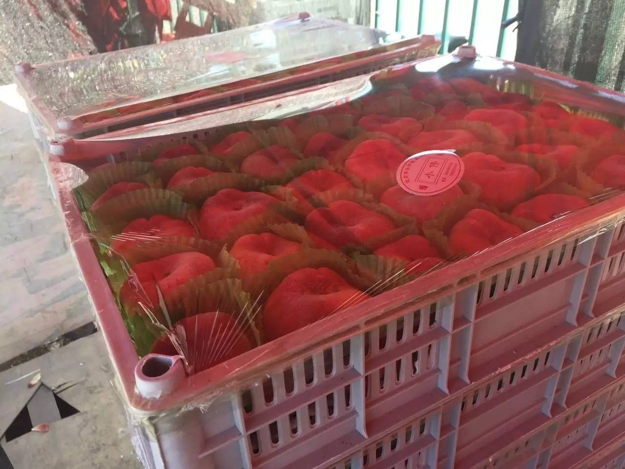 探·城│沈陽八家子——實拍東北最大的果品批發(fā)市場.