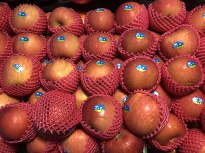 11月17日青島商超及批發(fā)市場果蔬等價(jià)格