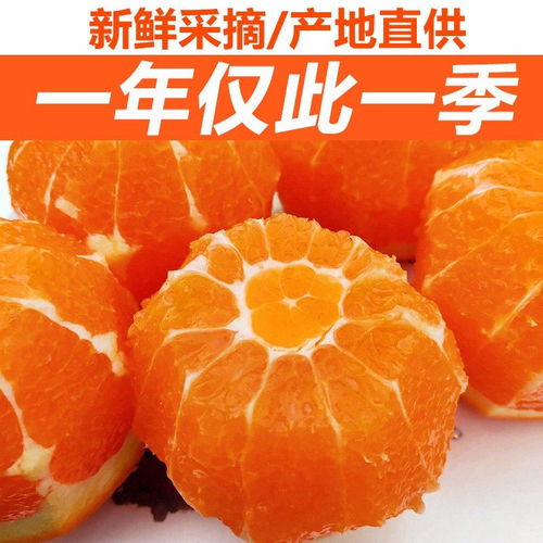 正宗四川青見柑橘水果新鮮整箱應(yīng)季水果批發(fā)非丑橘沃柑