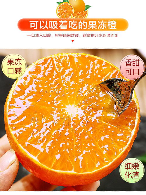 四川眉山愛媛38號(hào)果凍橙新鮮手剝橙子柑橘現(xiàn)摘應(yīng)季孕婦水果批發(fā)