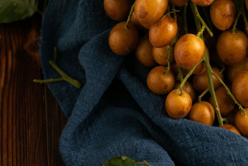 黃皮果特產(chǎn)夏季水果美食攝影圖 攝影