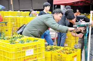 嘔心整理 成都人年貨采購(gòu)地點(diǎn)最全攻略都在這 趕緊收藏